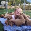 Video L'assalto di questi cuccioli dimostra tutto il loro amore!
