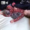 Video Bimbo e cuccioli dormono insieme