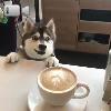 Video Datemi il mio caffè