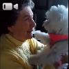 Video Un regalo speciale per la nonna 90enne: la sua reazione è commovente