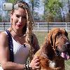 Video Caratteristiche Razza Bloodhound o Cane di Sant’Uberto