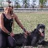 Video Caratteristiche Razza Irish Wolfhound o Levriero Irlandese